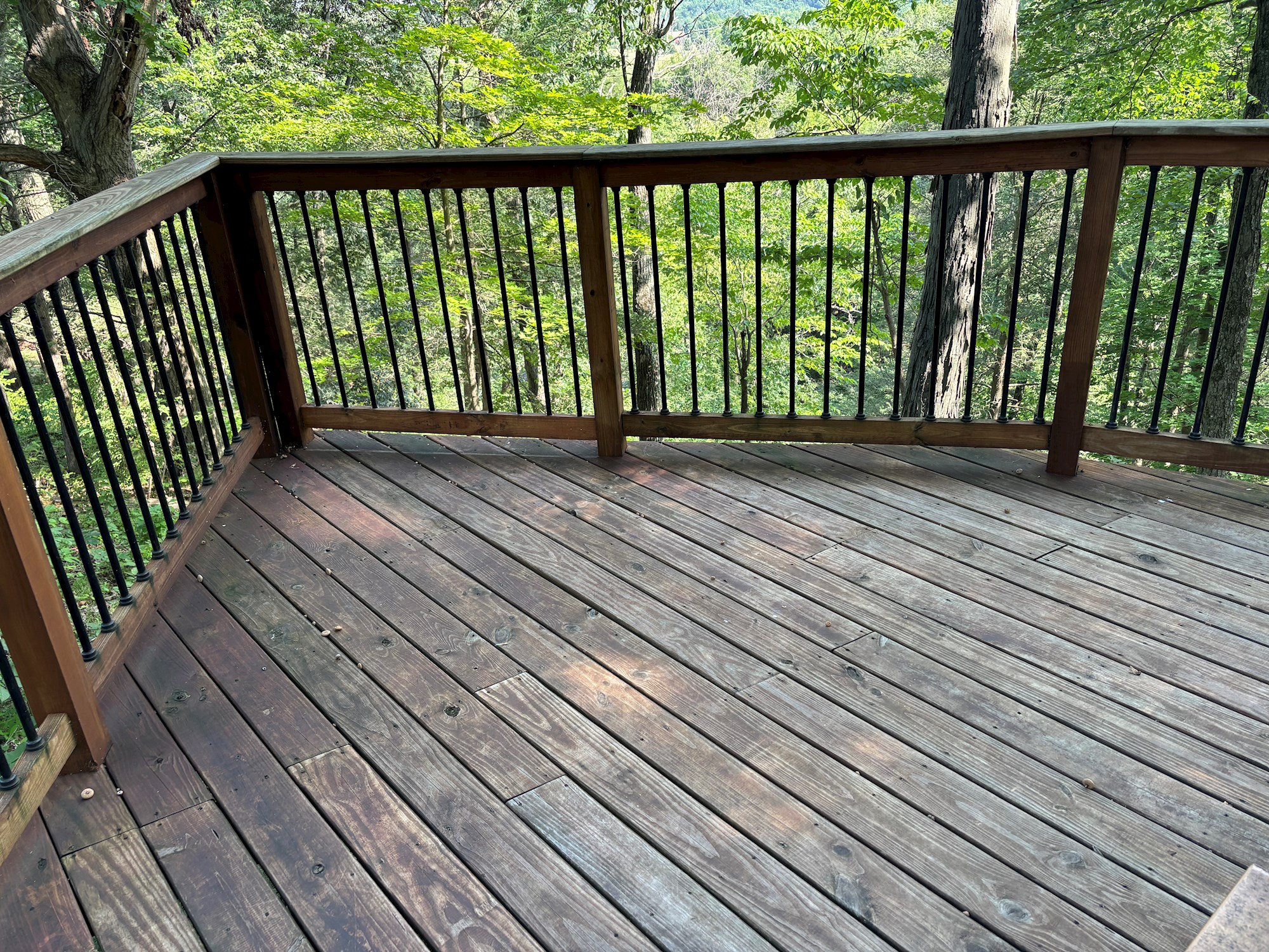 Lookout Fixed