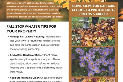 Fall Stormwater Solutions