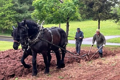 This Weekend: Skippack Historical Society Hosts Draft Horse Farming Demonstration